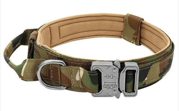 Dog Collar