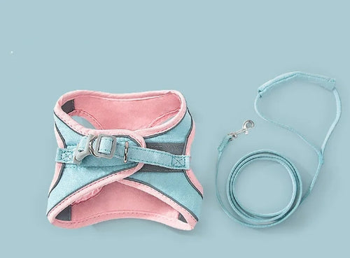 Chest Strap